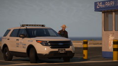In The Service of The State