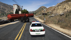 tried to beat the train