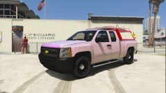 2010 Silverado LifeGuard