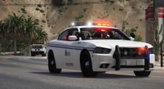 Code 3 Peace Officer