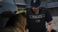 K9 Vest