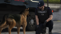 K9 Vest Patch