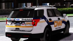 DWI Task Force 1