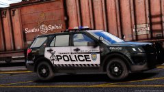 Transit Police
