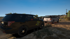 Traffic stop turned into a pursuit