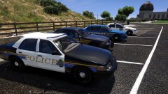 The CVPI liveries