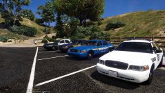 The CVPI liveries