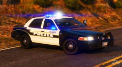 20180702060219_1 copy.jpg