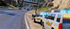 Traffic Stop With Additional