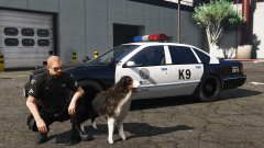 K9 Unit