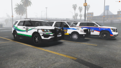 Paramedic RRU Units