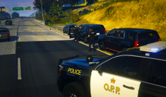 O.P.P. Traffic Stop Gone Wrong