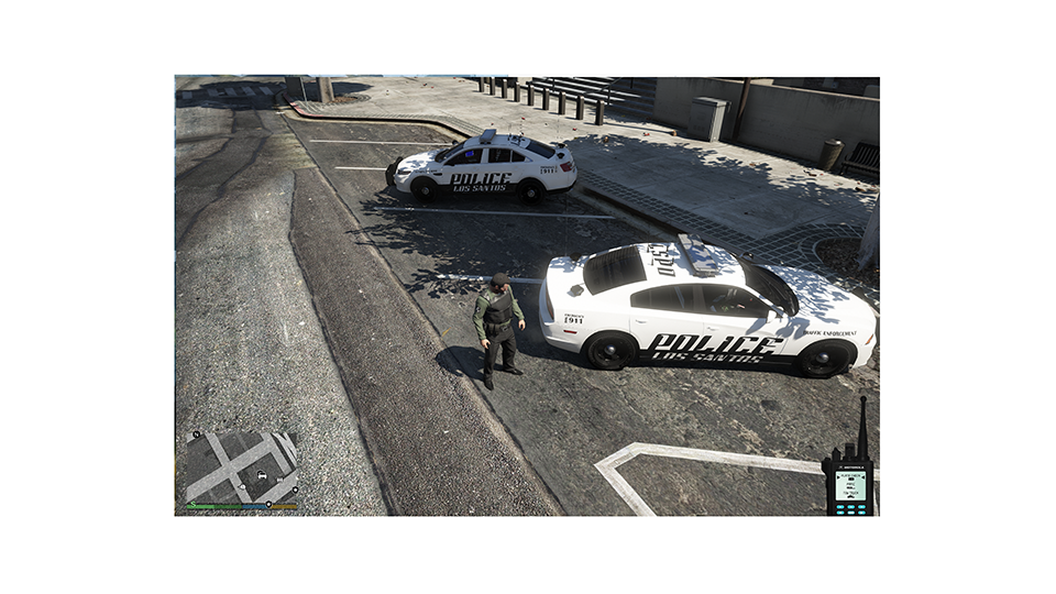 LSPD Skins