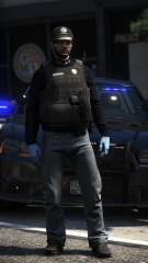 LSPD Vest