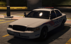 Sitz! Bleib! Gute Hund