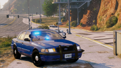 | Georgia Unmarked CVPI |