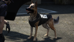 K9