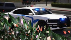 20180817185711_1 copy.jpg