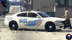 White and Gold Patrol Unit