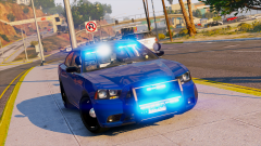 | Georgia Unmarked Charger |