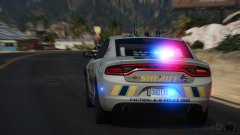 Caution: K9 Police Dog