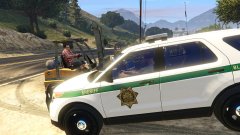 What are you....dude really?