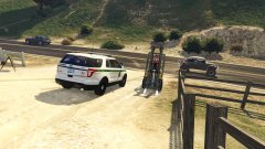 No really, you're an idiot