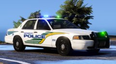 Guaynabo City P.R. police CV
