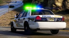 Guaynabo City P.R. police CV 3