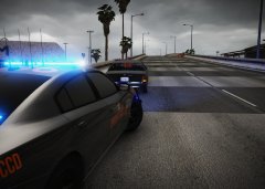 MCCD Conducting Enforcement at the Los Santos Docks