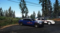 Insert Witty Title Here