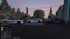 Grand Theft Auto V Screenshot 2018.08.11 - 20.18.44.28.png