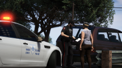 Vehicle Stop