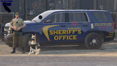 BCSO S.C.T. (Style 1)