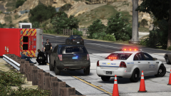 Highway crash