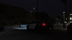 bark at the moon.png