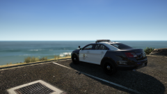 watching the ocean.png