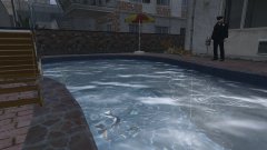 Welfare check....and DOA.