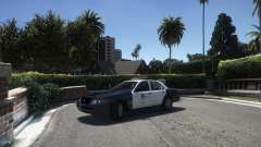 is this real life.png