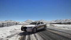 in the middle of patrol.png