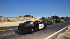 pursuit terminated.png