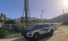 Lafayette Parish Sheriff FPIU, LA