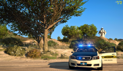 Tennessee Highway Patrol Caprice