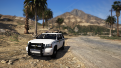 red and blue patrol.png