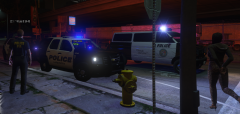 Lafayette Police Apprehending a Prostitute
