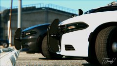 20181010215533_1 copy.jpg