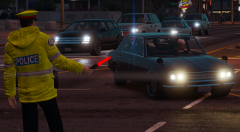 TPS Traffic Services