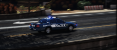 Paleto Police K9 Responding