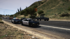 assisting lspd.png