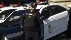 LSPD Vest Skin